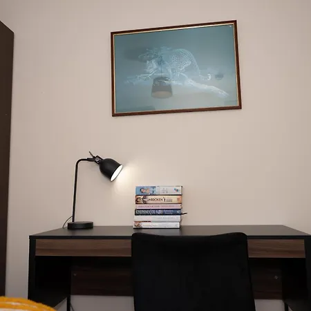 Center, Free Wifi For Contractor, Family 公寓 布雷得佛